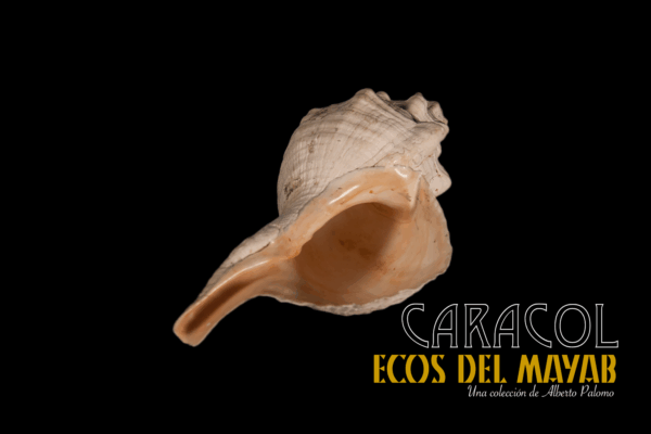 Caracol XL en Re, Versión 1.0 monolith