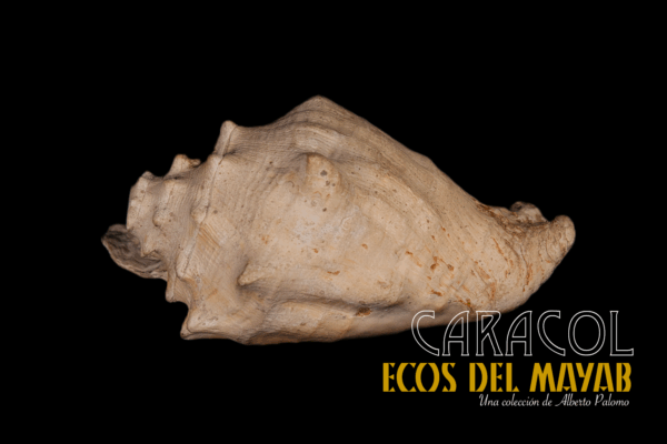 Caracol L (Grande) en Re, Versión 1.0 monolith