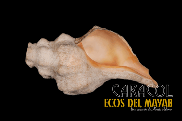 Caracol S (chico) en Si, Versión 1.0 monolith
