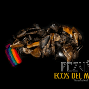 Pezuñas V1.0 monolith
